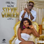 Wendy Shay – Stevie Wonder ft. Shatta Wale (Prod. By MOG Beatz) 