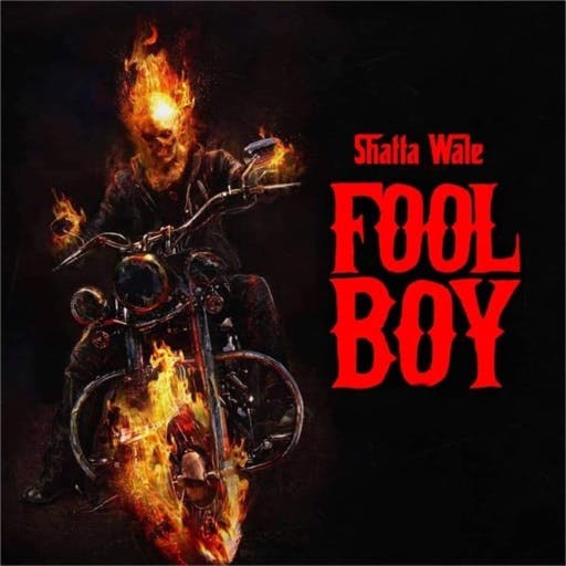 Shatta Wale – Fool Boy