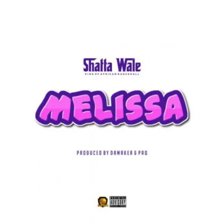 Shatta Wale – Melissa (Prod. by Damaker & Paq)