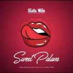Shatta Wale – Sweet Palava (Prod. by Beatz Vampire)