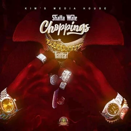 Shatta Wale – Choppings (Prod. by Beatz Vampire)