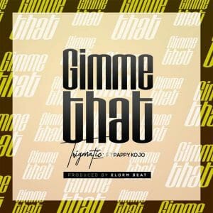Trigmatic &ndash; Gimme That ft. Pappy Kojo