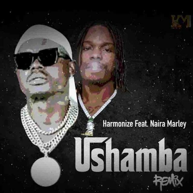 Ushamba Remix by Harmonize