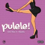 Kofi Mole – Pulele! ft. Medikal (Prod. by BPM Boss)