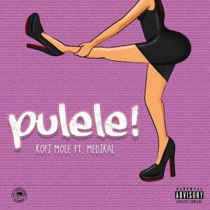 Kofi Mole &ndash; Pulele! ft. Medikal (Prod. by BPM Boss)