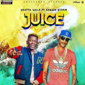 Shawn Storm ft. Shatta Wale