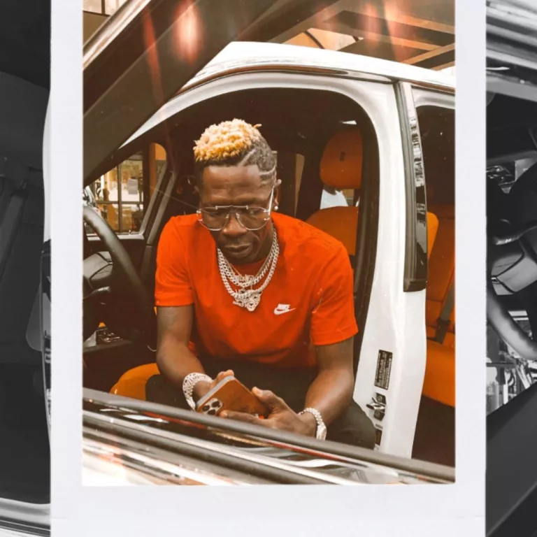 Shatta Wale - Amu Na Nya (Fakers)