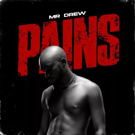 Mr Drew – Pains (Prod. By Beatz Vampire)