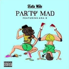 Shatta Wale &ndash; Party Mad Ft. Ara-B