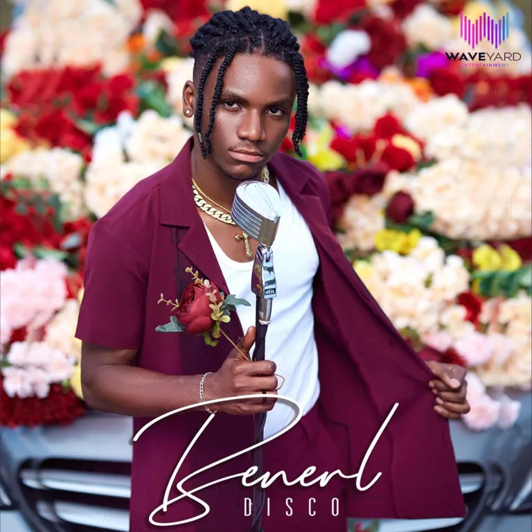 Benerl – Disco (Prod. By MOG) Benerl - Disco (Prod. By MOG)