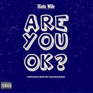 Shatta Wale &ndash; Are You Ok