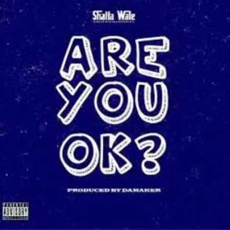 Shatta Wale – Are You Ok