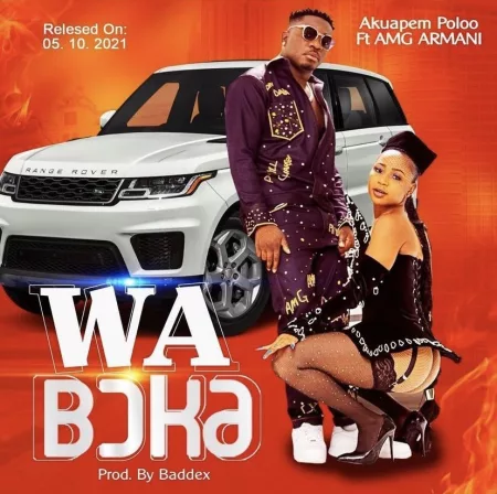 Akuapem Poloo – Wa Boka ft. Amg Armani