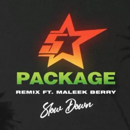 King Promise – Slow Down (Remix) ft. Maleek Berry