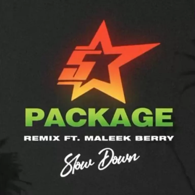 King Promise – Slow Down (Remix) ft. Maleek Berry