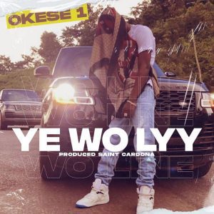 Okese1 – Ye Wo Lyy Hitz360 com mp3 image Okese1 – Ye Wo Lyy Hitz360 com mp3 image