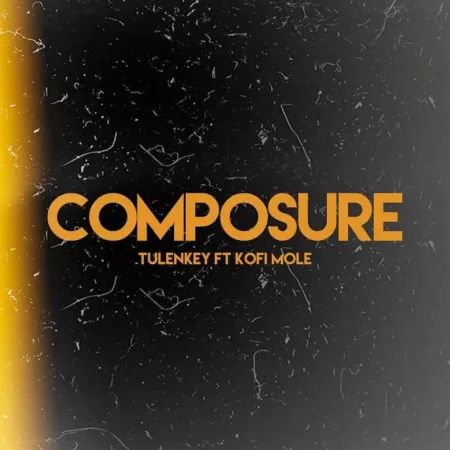 Tulenkey – Composure (Remix) ft. Kofi Mole