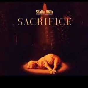 Shatta Wale – Sacrifice Hitz360 com mp3 image