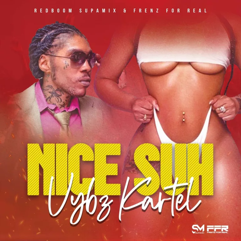 Vybz Kartel - Nice Suh