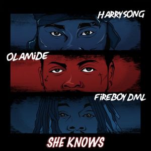 HarrySong Ft Fireboy DML x Olamide – She Knows Hitz360 com mp3 image