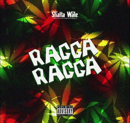 Shatta Wale – Ragga Ragga