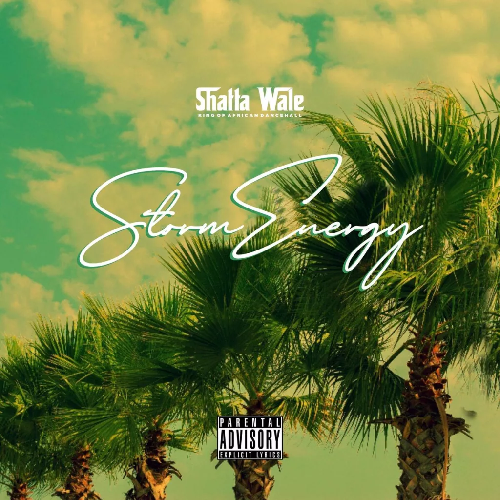 Shatta Wale - Storm Energy (Prod. By Beatz Vampire)