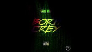 Shatta Wale – Born Crey