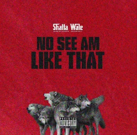 Shatta Wale – No See Am Like That