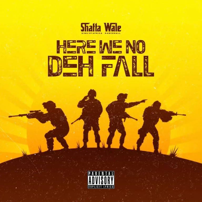Shatta Wale - Here We no Deh Fall