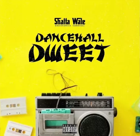 Shatta Wale – Dancehall Dweet