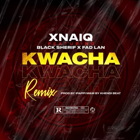 Xnaiq – Kwacha (Remix) Ft. Black Sherif & Fad Lan