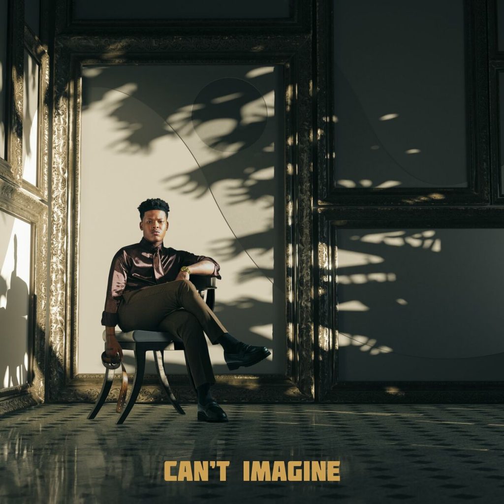 Nasty C - Can’t Imagine