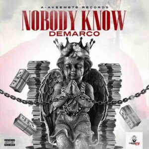 Demarco – Nobody Know mp3 image