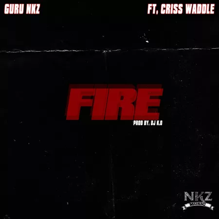 Guru NKZ - Fire Ft. Criss Waddle