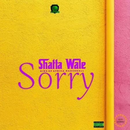 Shatta Wale – Sorry