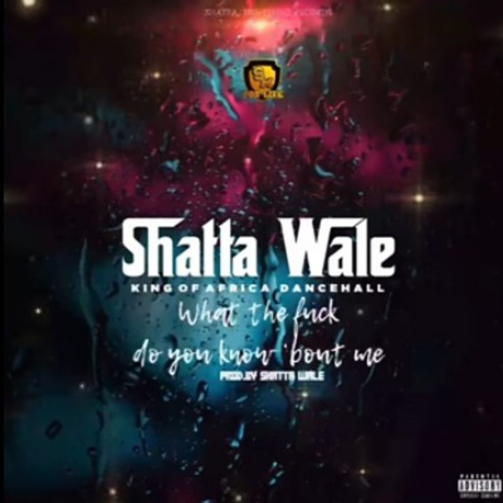 Shatta Wale What The Fuck Do You Know Bout Me mp3 image