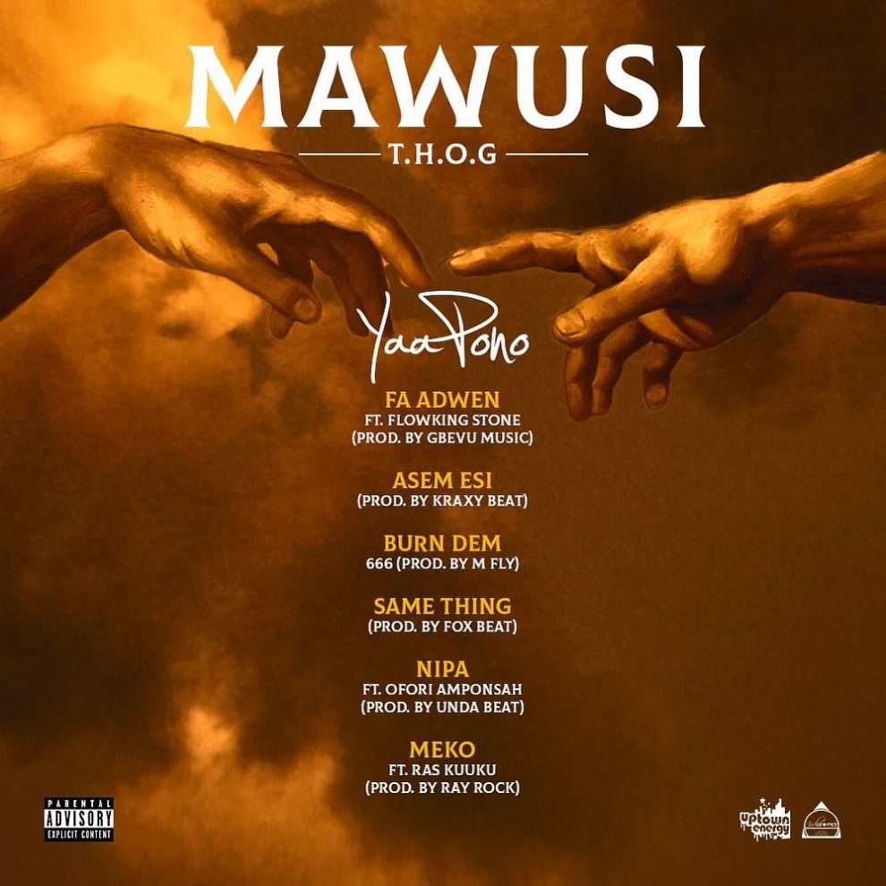 Yaa Pono - Burn Dem
