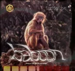 Lyrical Joe – Baboon (Amerado Diss)