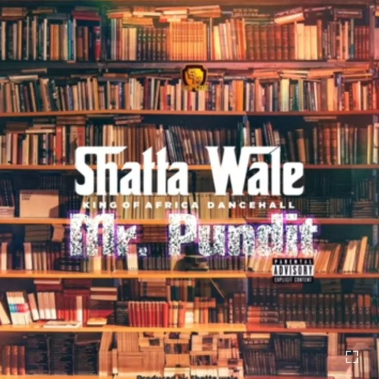 Shatta Wale - Mr Pundit