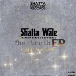 Shatta Wale – Walk Pon Dem