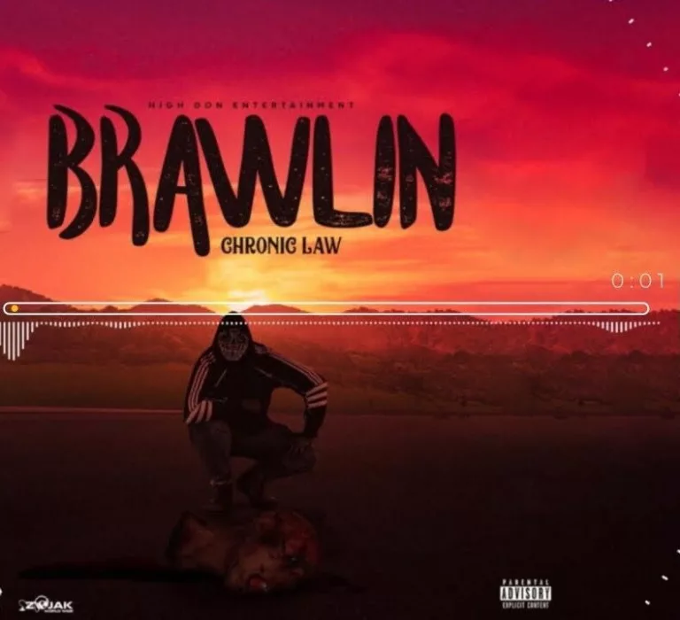 Chronic Law - Brawlin