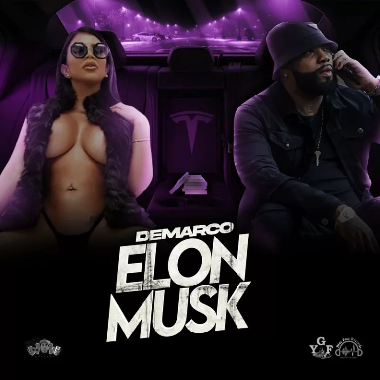 Demarco - Elon Musk
