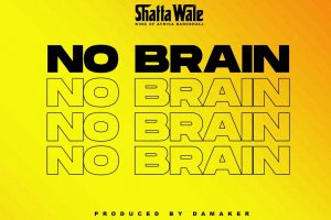 Shatta Wale No Brain mp3 image