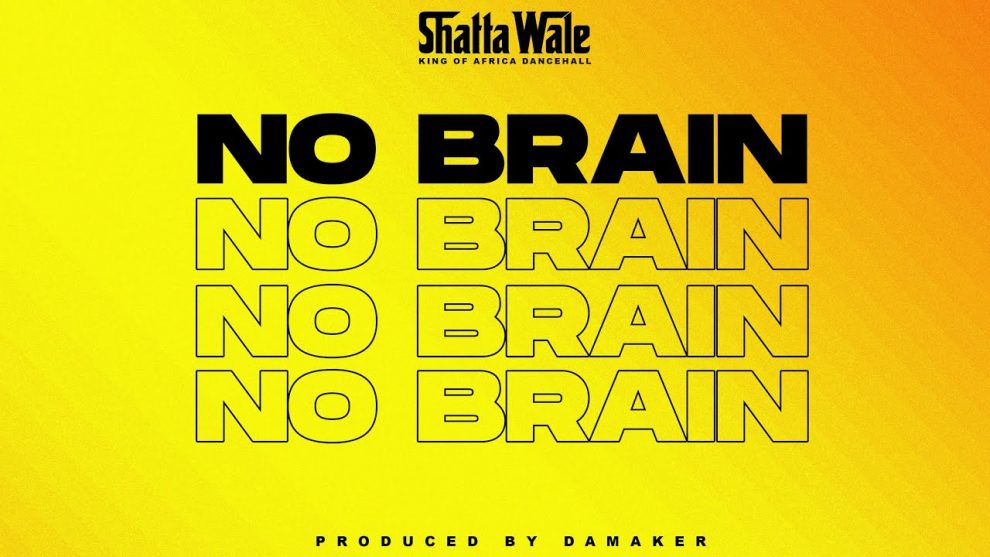 Shatta Wale No Brain mp3 image
