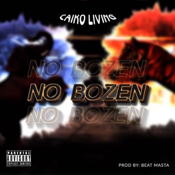 Caiko Living – No Bozen mp3 image