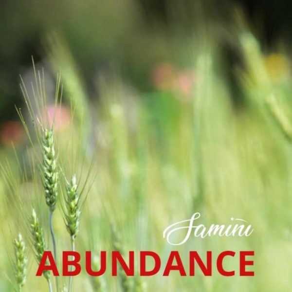 Samini – Abundance mp3 image