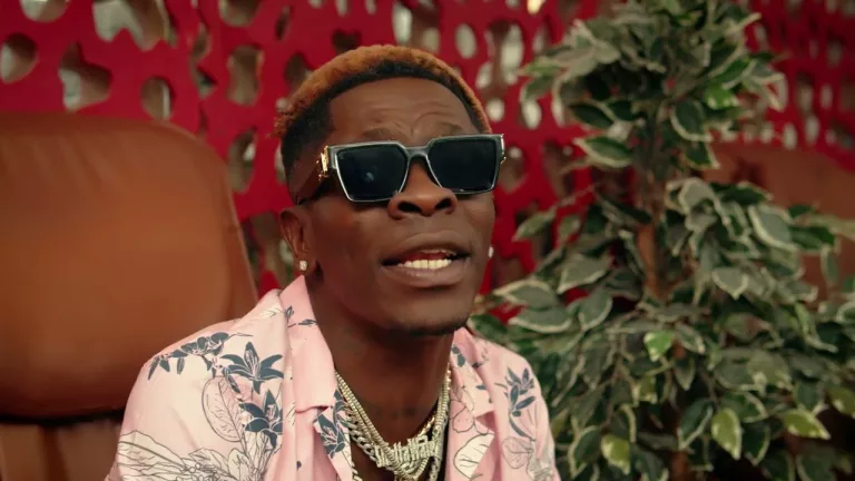 Shatta Wale  - Adole Video