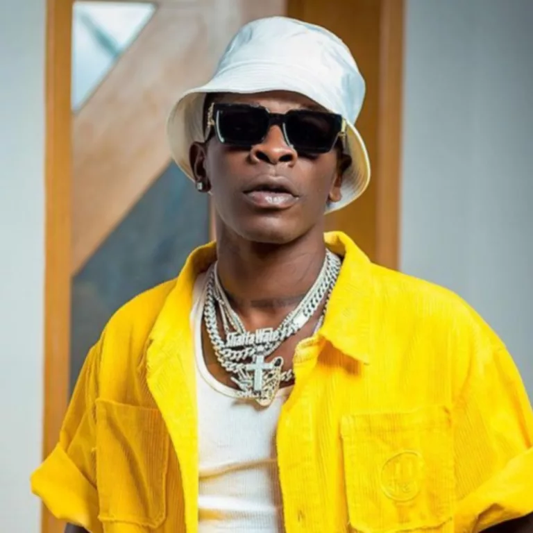 Shatta Wale  - Unicorn