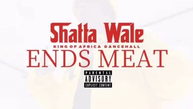 Shatta Wale Ends Meat mp3 image