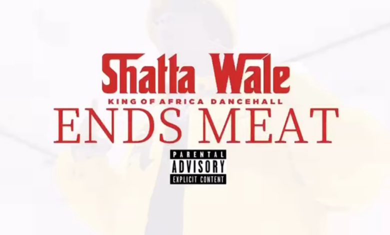 Shatta Wale Ends Meat mp3 image